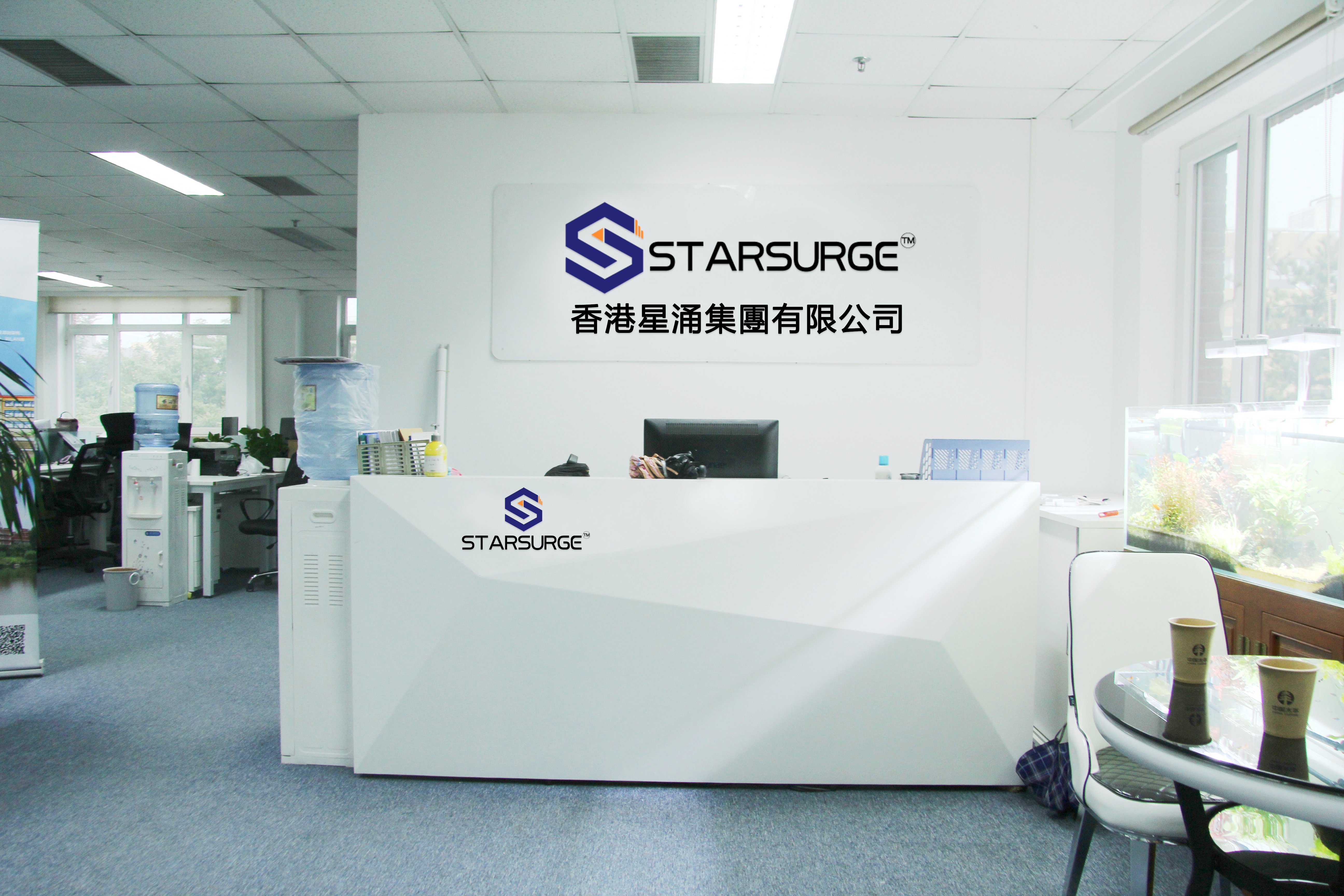 Chine Hong Kong Starsurge Group Co., Limited Profil de la société
